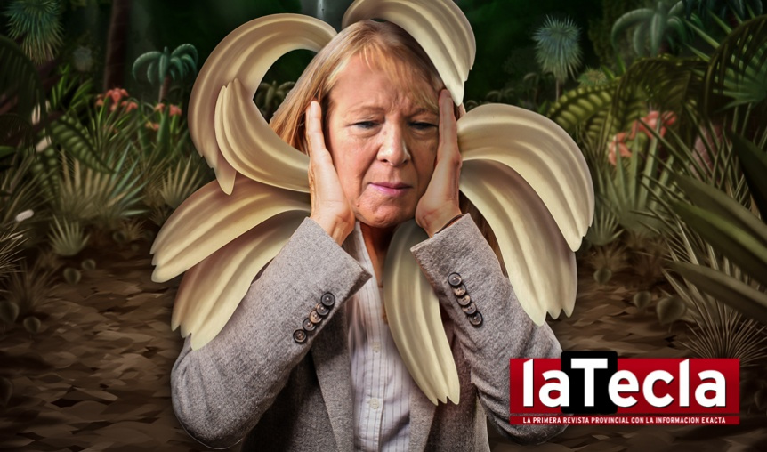 Sin lugar, Margarita quedó marchita