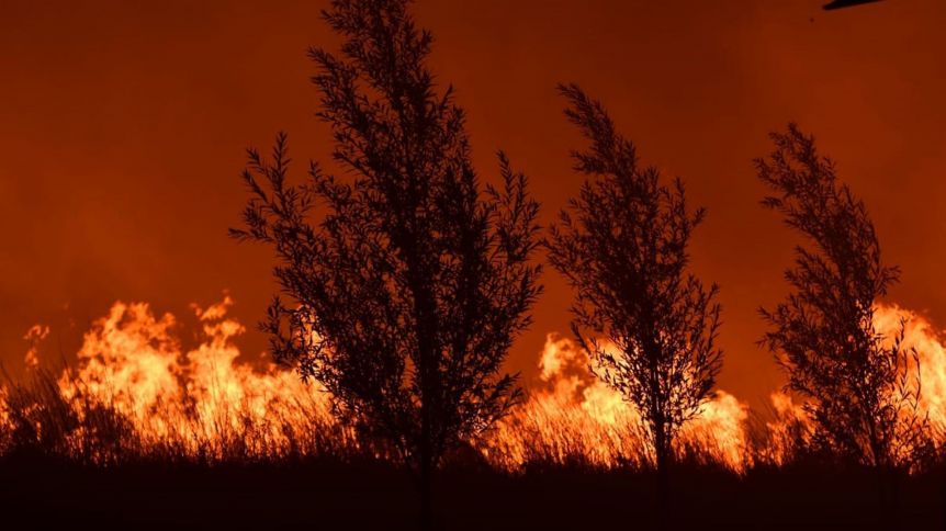 Logran controlar el incendio en el Área El Doradillo y liberan la ruta