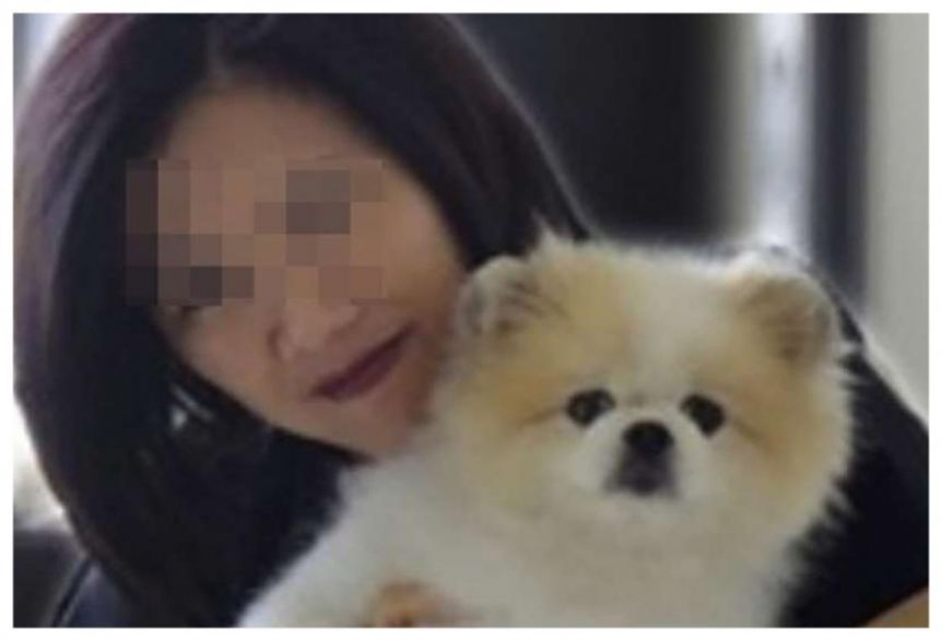 Murió el primer perro diagnosticado con coronavirus