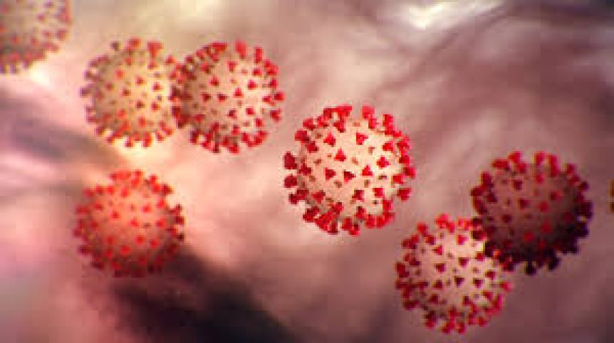 Se confirmaron 15 nuevos casos de coronavirus en la Provincia y 67 en todo el país