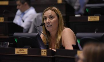 Legislatura: Los proyectos de la pandemia