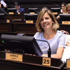 Legislatura: Los proyectos de la pandemia