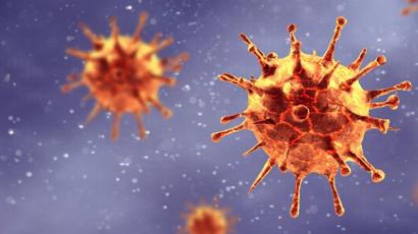 9 muertes y 173 nuevos casos de coronavirus en Argentina