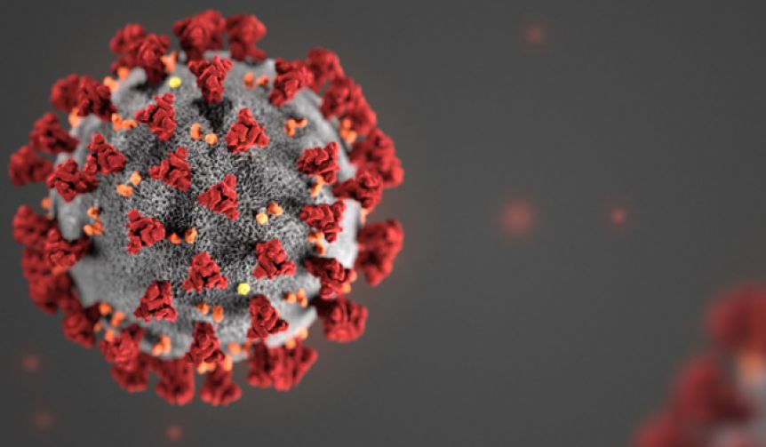 Se confirmaron 12 nuevas muertes por coronavirus, y hay más de 4.600 infectados