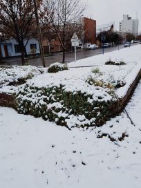 En el Sur se vive una nevada histórica, pero sin turismo