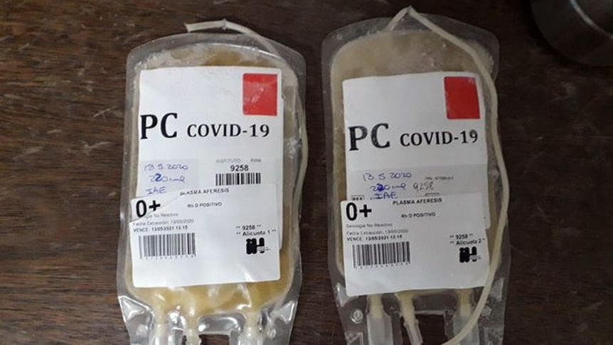 La donación de plasma copó la política bonaerense