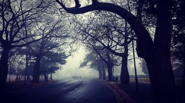 Las fotos de la niebla fueron tendencia por su relación con un videojuego