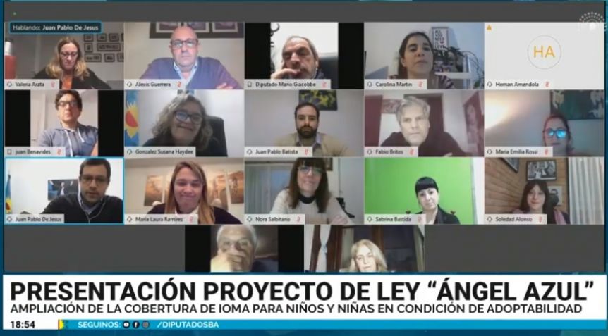 Avanza en Diputados el proyecto de Ley Angel Azul
