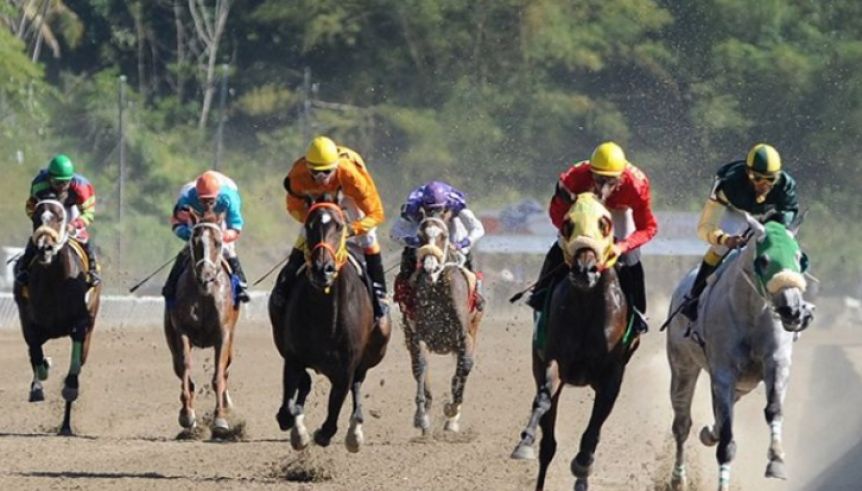 Semana clave: pedidos y definiciones para el regreso del turf