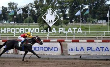 Laaaargaron: Provincia habilitó que los pura sangre vuelvan a las pistas