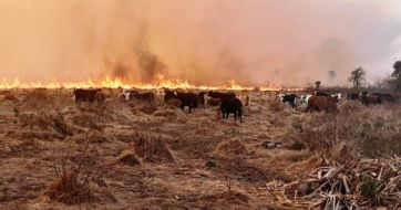 Graves pérdidas en las provincias afectadas por los incendios