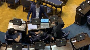 Diputados aprobó la ley que regula la actividad de Terapistas Ocupacionales