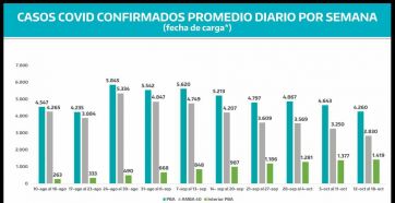 Coronavirus en descenso: 