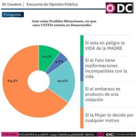 Interrupción voluntaria del embarazo: la otra grieta