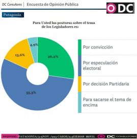Interrupción voluntaria del embarazo: la otra grieta