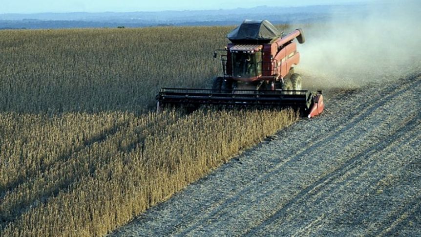 El campo y una queja constante: cuánto se queda el Estado a través de los impuestos