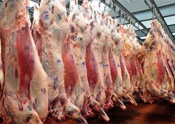 Carne, inalcanzable objeto de deseo