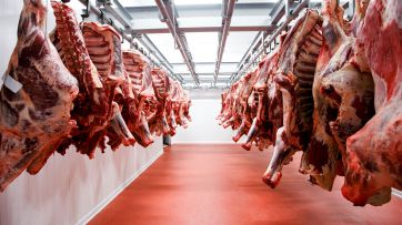 Carne, inalcanzable objeto de deseo