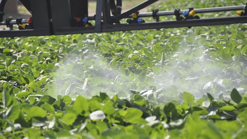 Prorrogan la suspensión del uso de agroquímicos