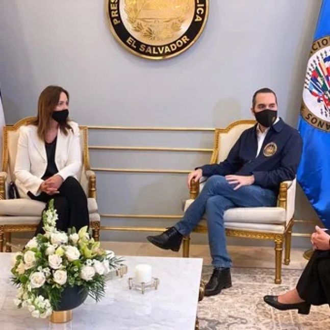 Vidal observadora: el gobierno la cuestionó, la OEA la ratificó