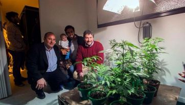 Kicillof sueña con el bronce a través del Proyecto Cannabis