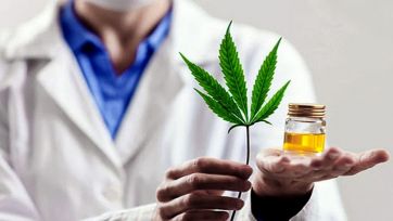 Kicillof sueña con el bronce a través del Proyecto Cannabis