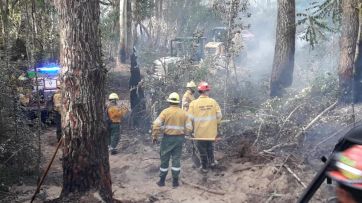 Fuego y agradecimiento sin grietas: 