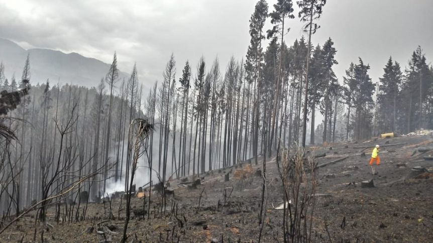 Confirman el fallecimiento de la segunda víctima por los incendios en la Comarca Andina