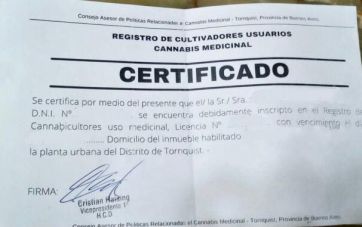 Con el Reprocann, la Sexta se ilusiona con ser vanguardia en autocultivo de cannabis