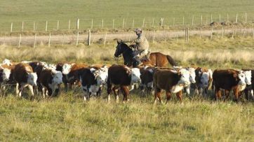 La encrucijada del campo argentino