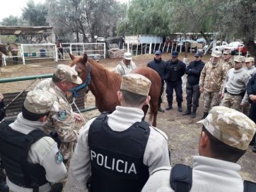 El delito rural en tiempos de pandemia