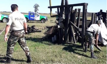El delito rural en tiempos de pandemia