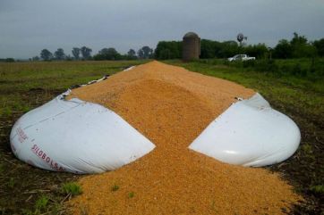 El delito rural en tiempos de pandemia