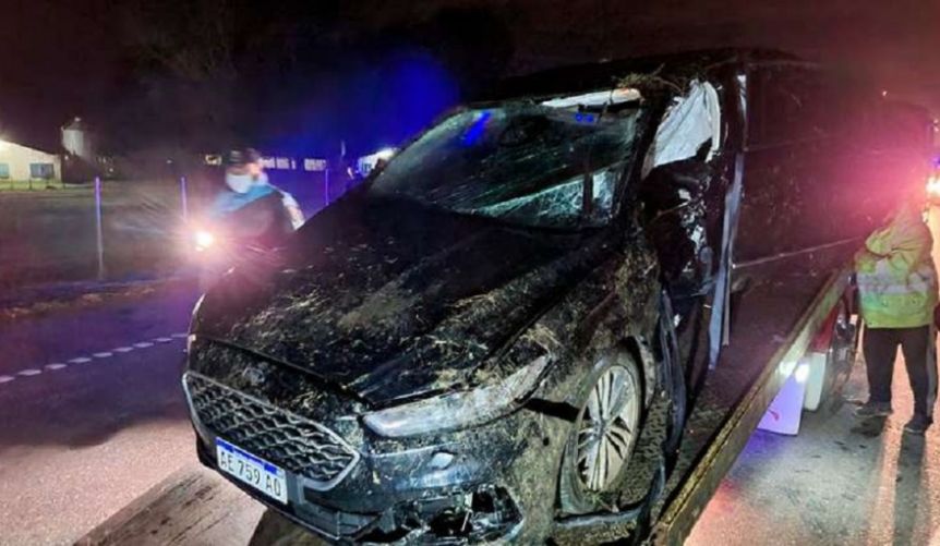 Cómo murió Meoni: el informe completo de la Junta de Seguridad en el Transporte