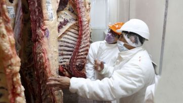 Cómo sigue el conflicto del Gobierno con el agro y la exportación de carne