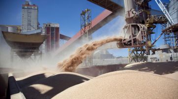 Cómo sigue el conflicto del Gobierno con el agro y la exportación de carne
