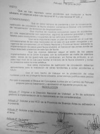 Rutas peligrosas: desde Juntos por el Cambio piden pasos bajo a nivel para carpinchos