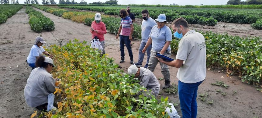 El Renatre pide a los gobiernos provinciales vacunar a todos los trabajadores rurales