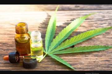 Cuáles son las diferencias por las que no avanza la regulación del cannabis en Provincia