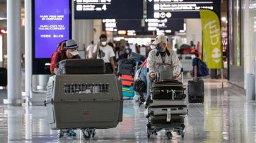 Habrá más vuelos especiales para argentinos varados en el exterior