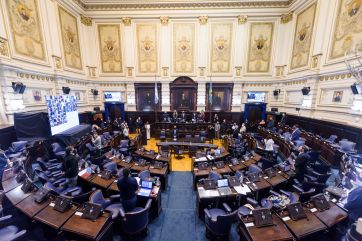 Por qué no avanza la regulación para producir y comerciar cannabis en la Provincia