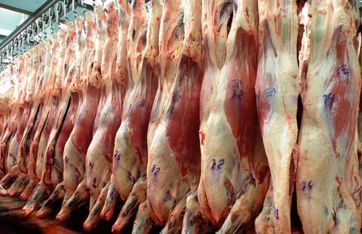 Restricciones a las exportaciones de carne: el Gobierno prorrogó por 2 meses la medida