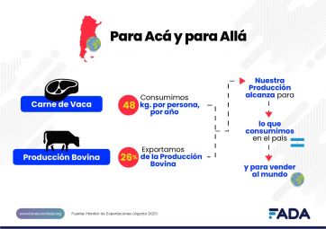 El 72 por ciento de las exportaciones vienen del campo: ¿Cómo ayudan al país?