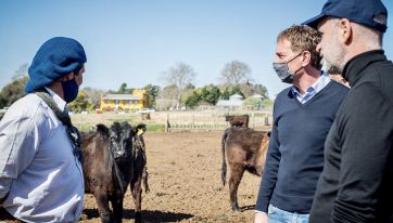 Exportaciones de carne: el campo busca respaldo en la oposición para reclamar por las pérdidas