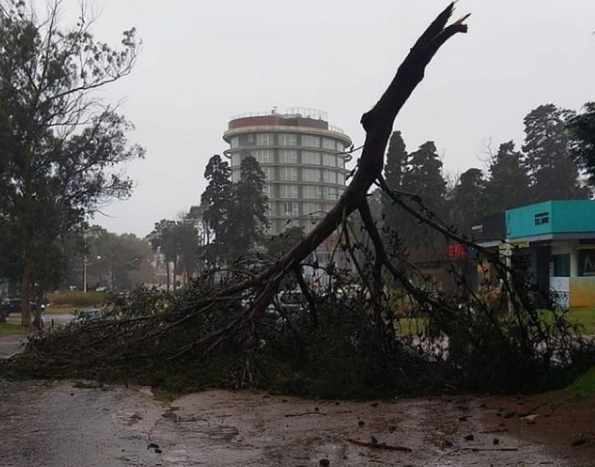 Suspenden las clases en la costa por fuerte temporal de viento y lluvia
