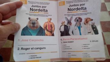 Carpinchos candidatos, la Scaloneta y otras perlitas de las PASO 2021