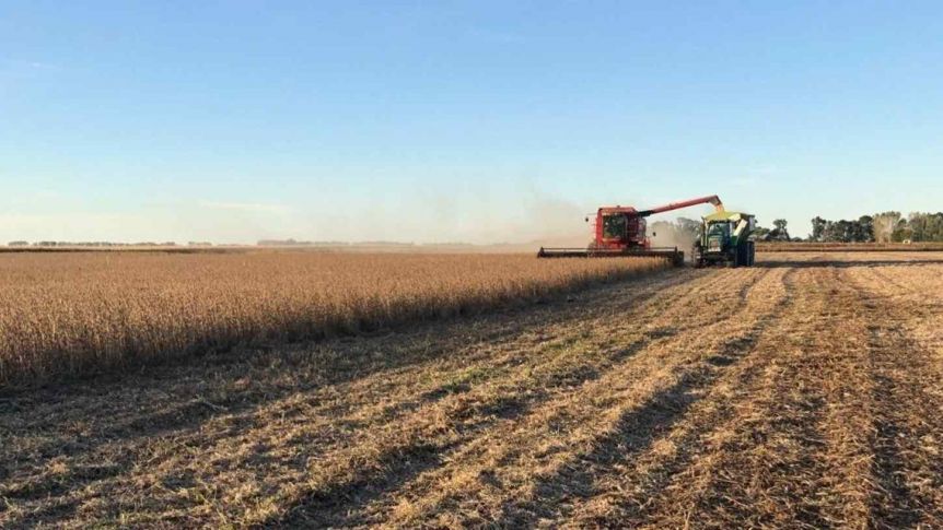 Política impositiva: el Estado retiene $63,40 de cada $100 de la renta agrícola