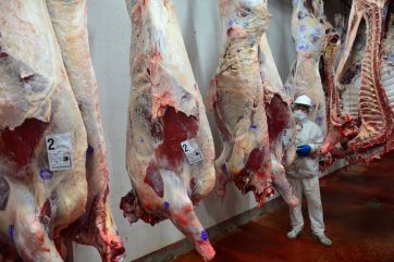 Ecos del acuerdo con el campo: qué dijeron desde la Federación Agraria tras la reunión con Domínguez