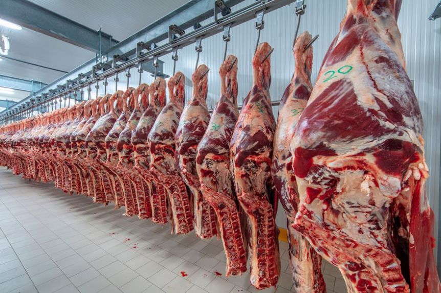 Respira el oficialismo: por tercer mes consecutivo, se mantiene el precio de la carne