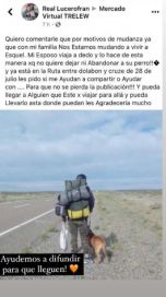Viral: no quería abandonar a su perro y realizó su mudanza a pie
